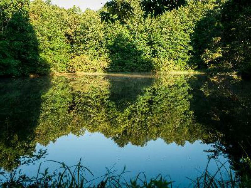 A Mighty Oak B&B Pilot Mountain エクステリア 写真